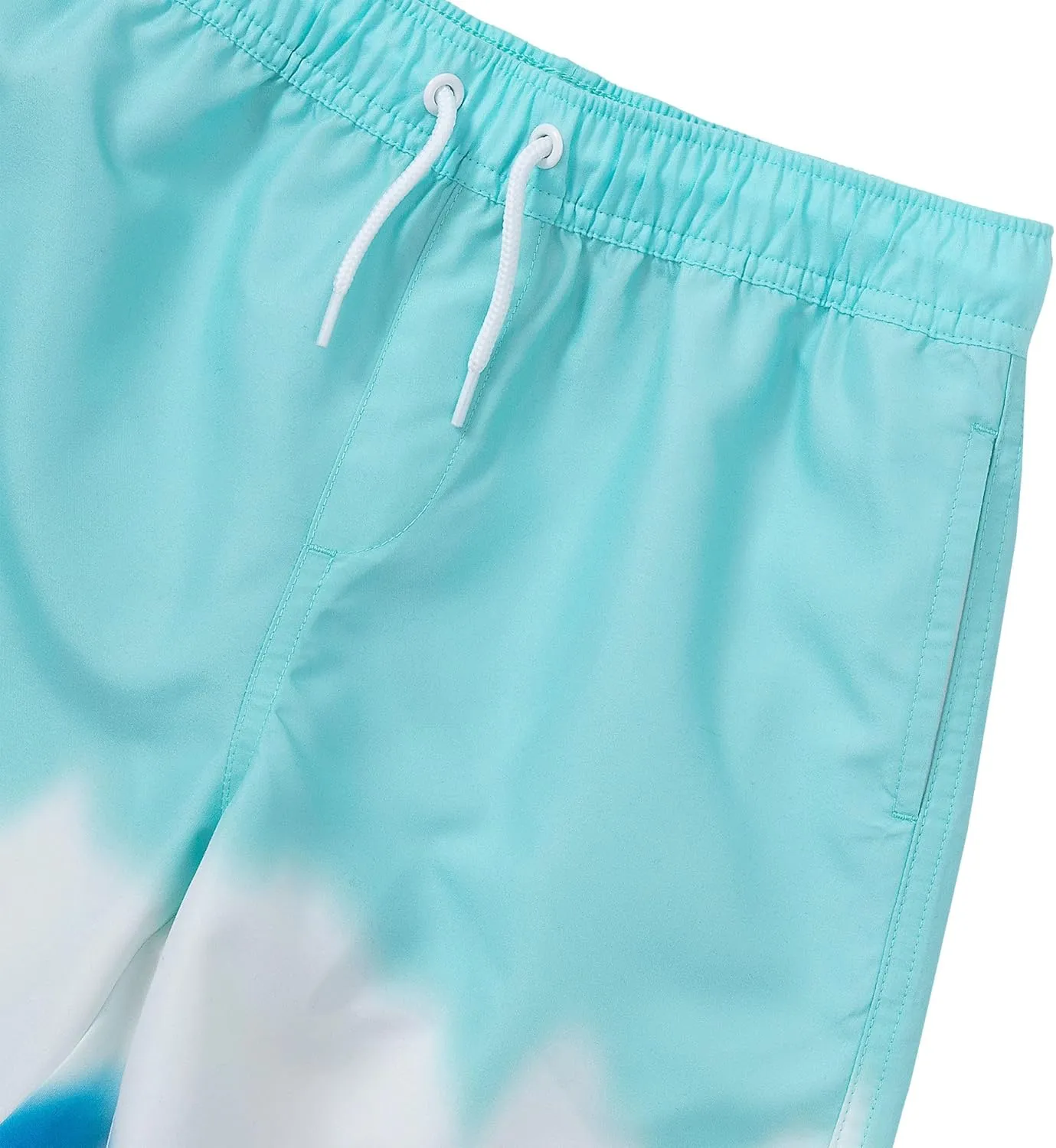 Lands' End Boys Slim Printed Volley Swim Trunks